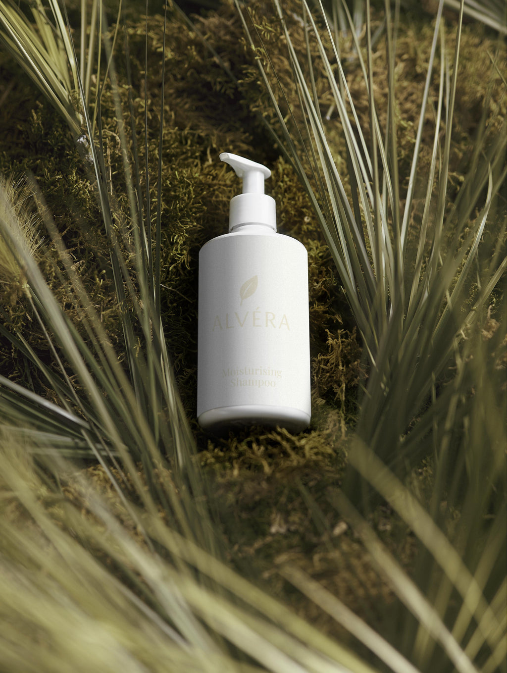 ALVÉRA Shampoo Meadow Whispers Haarpflege vegan